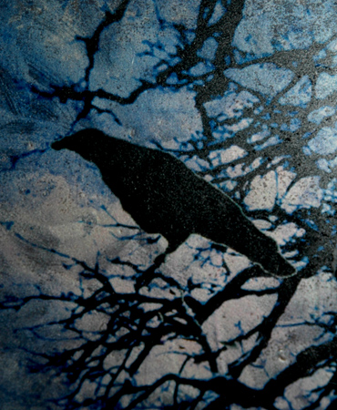"Crow Series IV"